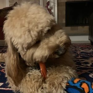 Meet your Posher, Elise